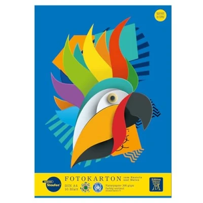 Abbildung von Staufen 53636000 Green Fotokartonblock, DIN A4, 10 Blatt Farben, 300g/m² Recyclingpapier
