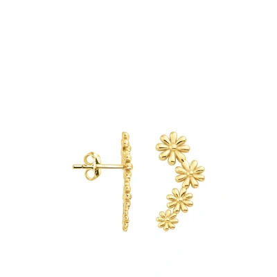 Abbildung von Sofia Milani Ohrringe goldcoloured, Damen, Größe: One Size, Gold/coloured