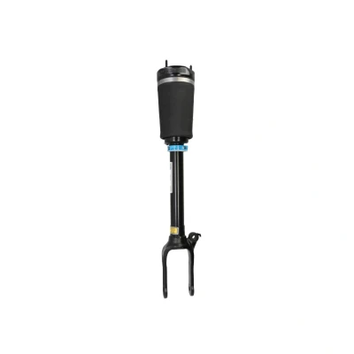 Abbildung von BILSTEIN B4 OE Replacement (Air) 44 165062 Luftfederbein Vorderachse MERCEDES BENZ: ML Klasse, GL