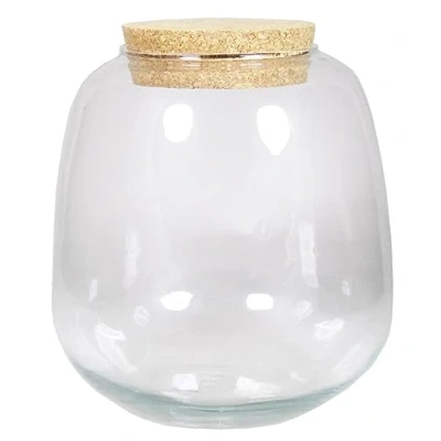 Abbildung von INNA Glas Pflanzen Terrarium YASIL mit Korkdeckel, klar, 25cm, Ø21cm Deko Terrarium/Vorratsglas