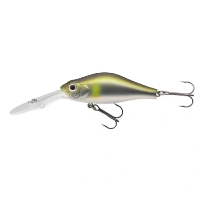 Abbildung von Daiwa TN Mega Scouter 1064FG MA Wobbler