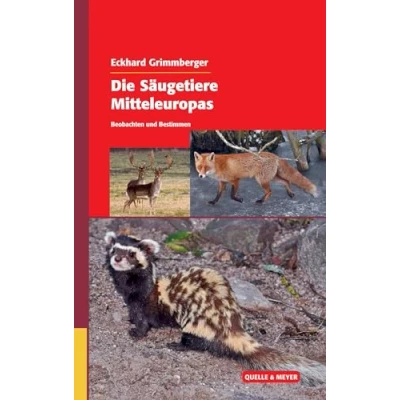 Abbildung von Die Säugetiere Mitteleuropas: Beobachten und Bestimmen (Quelle &amp; Meyer Bestimmungsbücher)