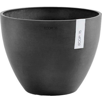 Abbildung von Ecopots Antwerpen konisch 30 cm dunkelgrau Pflanzen /Blumentopf