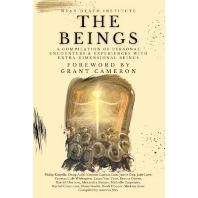 Abbildung von The Beings: A Compilation of Personal Encounters and Experiences with Extra Dimensional Beings