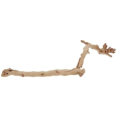Abbildung von Exo Terra Terrariendeko Forest Branch sandgestrahlte Äste