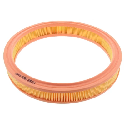 Abbildung von MAPCO 60561 Luftfilter 50 305 Filtereinsatz FORD: FIESTA 3, Escort 4 Cabriolet, 5 Schrägheck