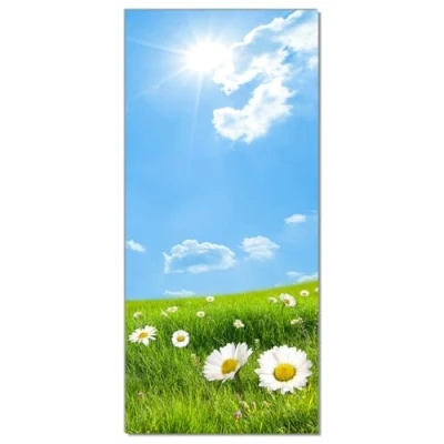 Abbildung von Wallario Selbstklebende Türtapete Sommerwiese Weiße Gänseblümchen vor blauem Himmel Türposter 93 x 205 cm Abwischbar, rückstandsfrei zu entfernen