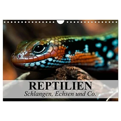 Abbildung von Reptilien Schlangen, Echsen und Co. (Wandkalender 2025 DIN A4 quer), CALVENDO Monatskalender