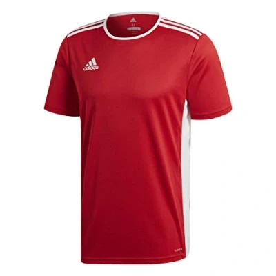 Abbildung von adidas Performance Entrada Tshirt basic, Herren, Größe: Large, Red