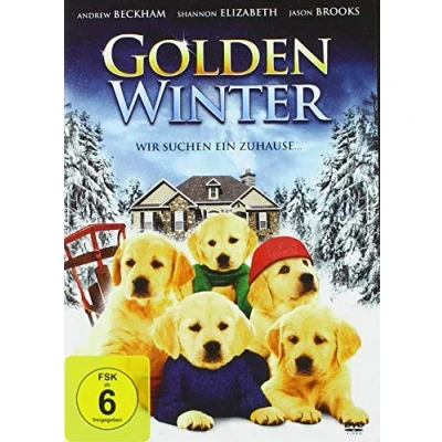 Abbildung von Golden Winter Wir suchen ein Zuhause (DVD)