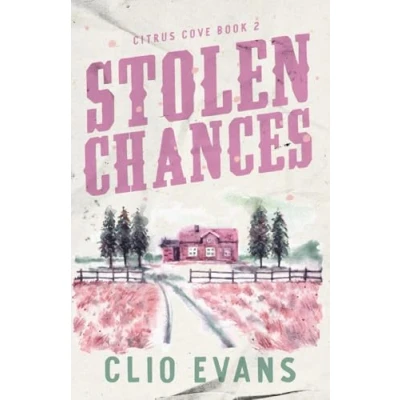 Abbildung von Stolen Chances: A Single Mom, MMF, Small Town Romance Suspense (Citrus Cove, Band 2)