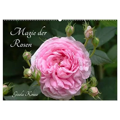 Abbildung von Magie der Rosen (Wandkalender 2025 DIN A2 quer), CALVENDO Monatskalender