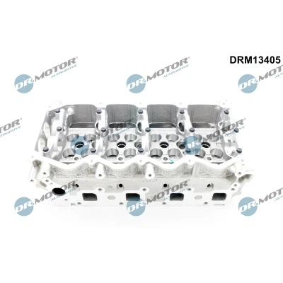 Abbildung von Zylinderkopf Dr.Motor Automotive DRM13405