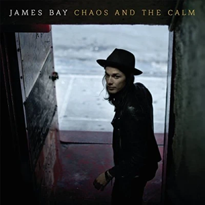 Abbildung von Chaos And The Calm [Vinyl LP]