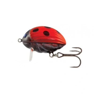 Abbildung von Salmo Lil Bug Floating &#039;Ladybird&#039; 3cm (4,3g) Wobbler