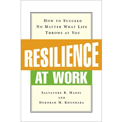 Abbildung von Resilience at Work: How to Succeed No Matter What Life Throws You