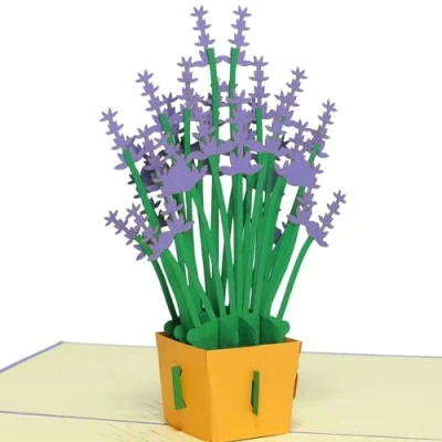 Abbildung von LINPOPUP®, Pop Up 3D Karte, Geburtstagskarte, Glückwunschkarte, Muttertag, Lavendel, N51
