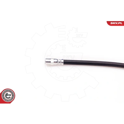 Abbildung von ESEN SKV 35SKV041 Bremsschläuche Hinterachse beidseitig 225 M10x1 BMW: 3 Coupe, Cabrio, Limousine