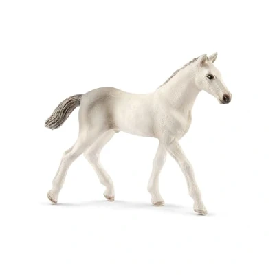 Abbildung von Schleich Holsteiner Fohlen 17079 Spielzeug für Kinder