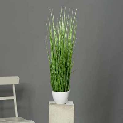 Abbildung von mucplants California Beach Kunstgras im weißen Topf 74cm Kunstpflanze Grasarrangement künstliches Gras für Zimmer , Büro Gaststätten oder Messedekoration