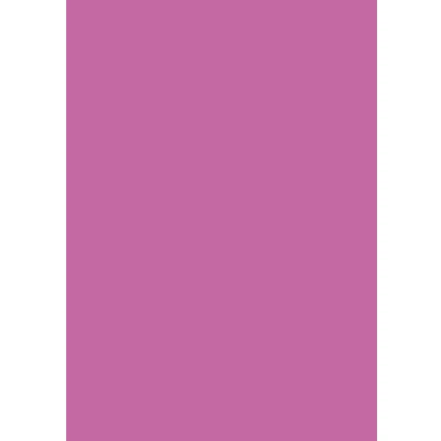 Abbildung von 25 x Heyda Fotokarton 300g/qm 50x70cm pink