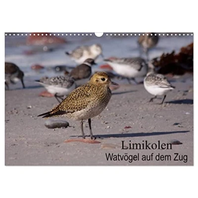 Abbildung von Limikolen Watvögel auf dem Zug (Wandkalender 2025 DIN A3 quer), CALVENDO Monatskalender