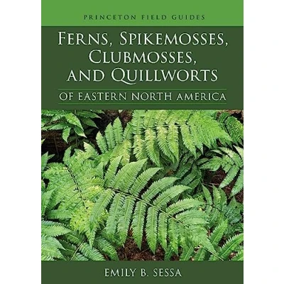 Abbildung von Ferns, Spikemosses, Clubmosses, and Quillworts of Eastern North America (Princeton Field Guides)