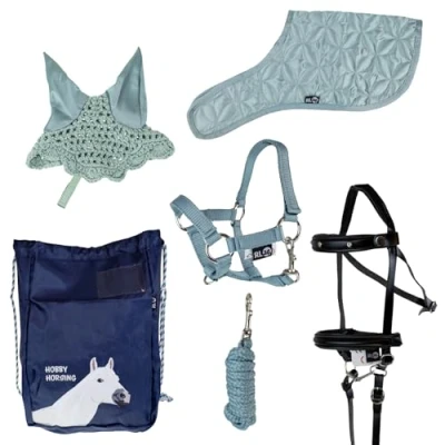 Abbildung von RL24 Hobby Horse Zubehör Set (6 teilig) Halfter mit Strick, Decke &amp; Fliegenhaube in Hellgrün Trense Schwarz mehrfarbiger Transportbeutel für Stockpferde Steckenpferd