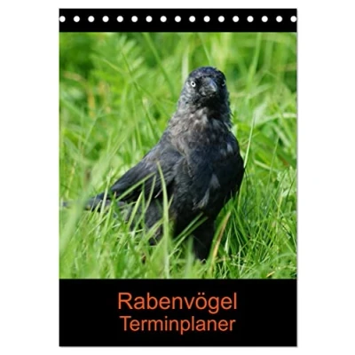 Abbildung von Rabenvögel Terminplaner (Tischkalender 2025 DIN A5 hoch), CALVENDO Monatskalender