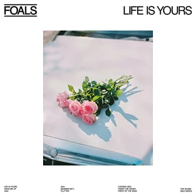 Abbildung von Life Is Yours