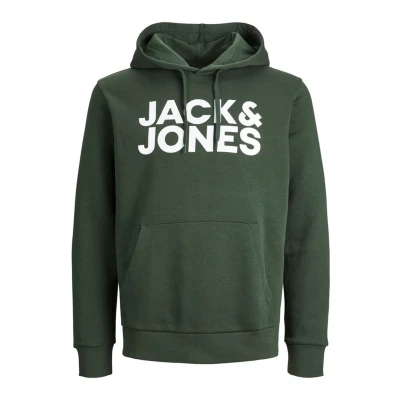 Abbildung von Jack &amp; Jones Ecorp LOGO NOOS Kapuzenpullover, Herren, Größe: Large, Mountain view fit reg /large print