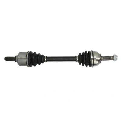 Abbildung von Antriebswelle PASCAL G2P076PC