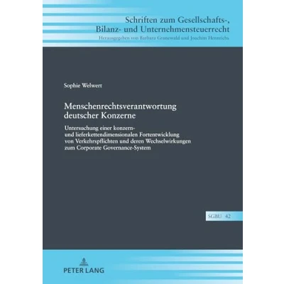 Abbildung von Menschenrechtsverantwortung deutscher Konzerne: Untersuchung einer konzern und lieferkettendimensionalen Fortentwicklung von Verkehrspflichten ... Bilanz Unternehmensteuerrecht, Band 42)