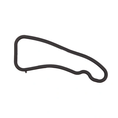 Abbildung von REINZ 71 41318 00 Dichtung, Ansaugkrümmergehäuse BMW: 1 Schrägheck, 3 Touring, Coupe