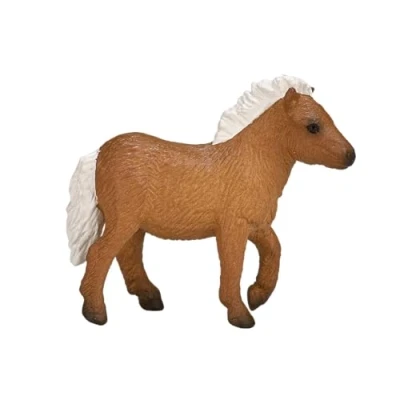 Abbildung von Mojo Shetland Pony Fohlen