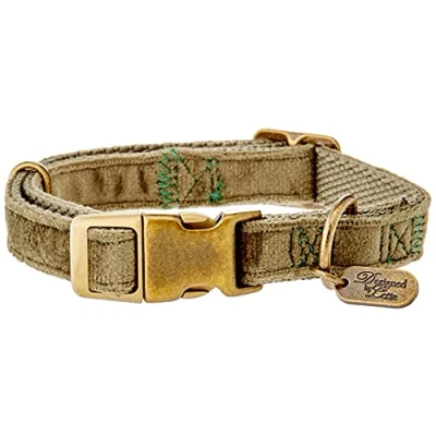 Abbildung von Designed by Lotte Hundehalsband Velura Grün 26 40cmx15mm