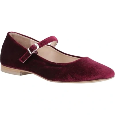 Abbildung von Hush Puppies Pasha Samt Damen Bordeaux Schuhe