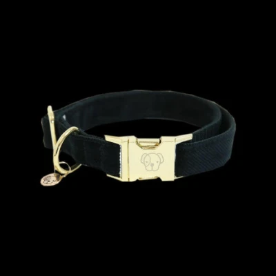 Abbildung von Kentucky Horsewear Hundehalsband Corduroy Grün