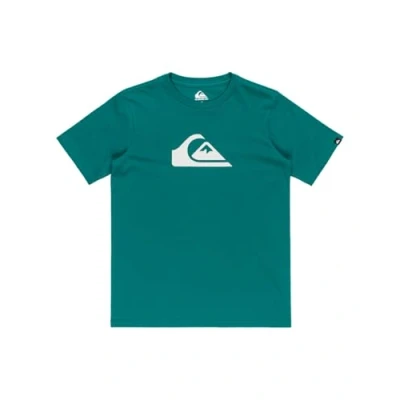 Abbildung von Quiksilver LOGO Unisex Tshirt print für Kinder, Größe: 176, Bran
