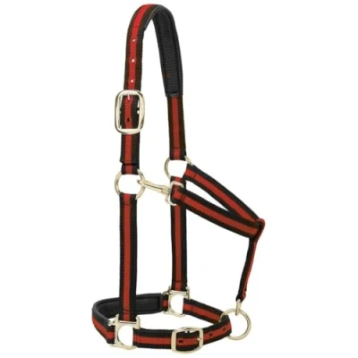 Abbildung von Weaver Leather Halfter für Pferde, gepolstert, verstellbar, Nylon, 2,5 cm, Rot