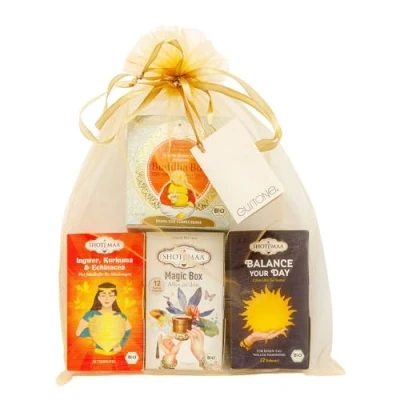 Abbildung von GUSTONE. Bio Tee Reise Geschenkset 4 hochwertige Teebeutel Boxen