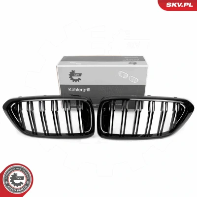 Abbildung von ESEN SKV 66SKV210 Kühlergrill schwarz, glänzend