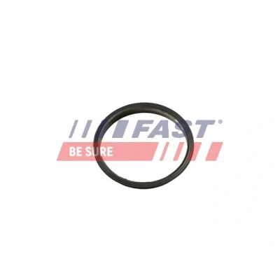 Abbildung von FAST FT49853 Dichtung, Unterdruckpumpe FORD: Ranger Mk3, Transit Mk6 Kastenwagen, Pritsche/Fahrgestell