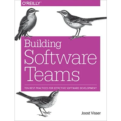 Abbildung von Building Software Teams: Ten Best Practices for Effective Development