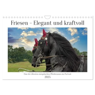 Abbildung von Friesen elegant und kraftvoll (Wandkalender 2025 DIN A4 quer), CALVENDO Monatskalender
