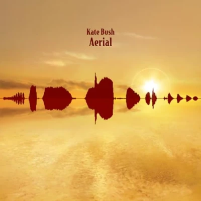 Abbildung von Aerial (Fish People Edition)