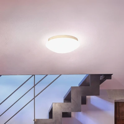 Abbildung von STEINEL RS Pro P2 S Notlicht Sensor LED 4.000 K