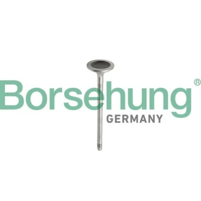 Abbildung von Kolbenringsatz Borsehung B10343