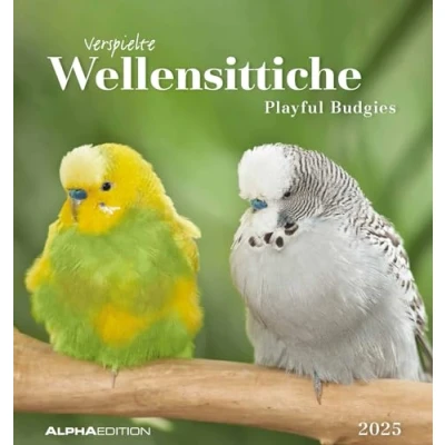 Abbildung von Alpha Edition Wellensittiche 2025 Postkartenkalender, 16x17cm, Kalender mit Postkarten zum Heraustrennen, Monatsübersicht, Aufstellen oder Aufhängen und internationales Kalendarium