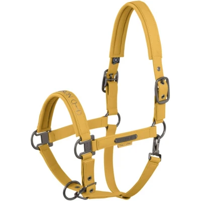 Abbildung von Eskadron Halfter Faux Leather Platinum &#039;25 Golden Yellow Warmblut Agradi.deVerkauft von Agradi